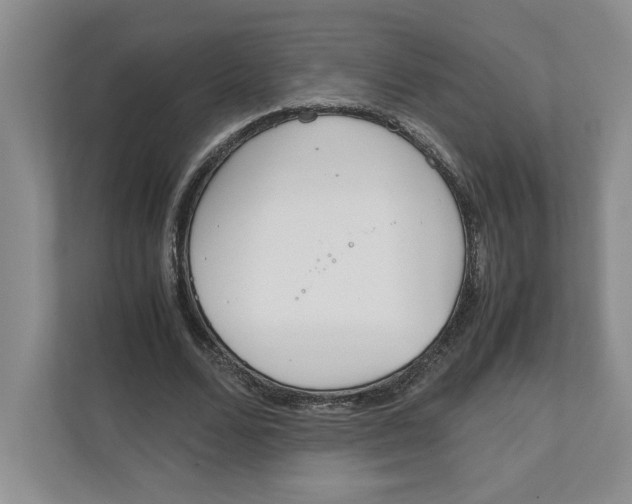 X0000111850680200908201237
