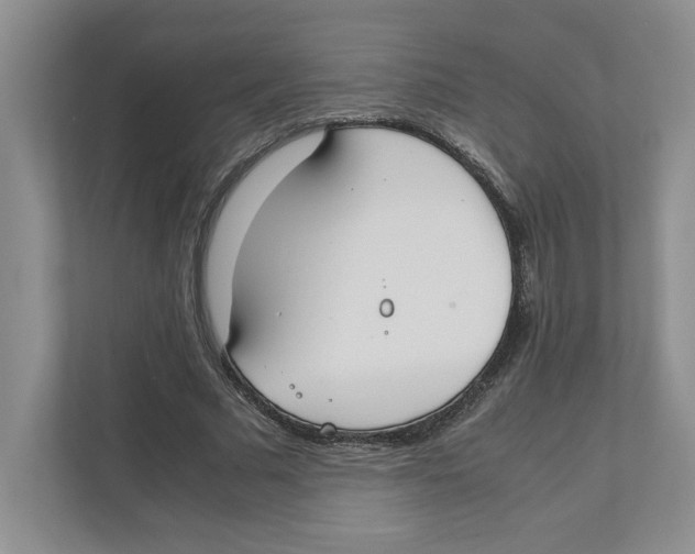 X0000111850681200908201237