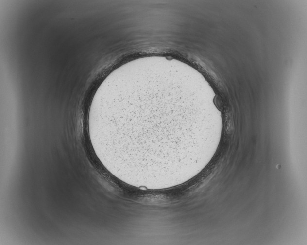 X0000111850685200908201237