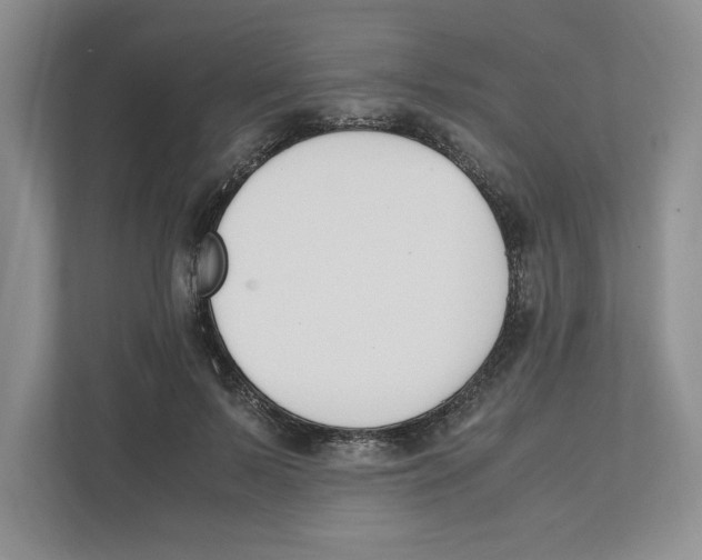X0000111850695200908201237