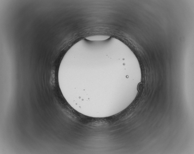 X0000111850696200908201237