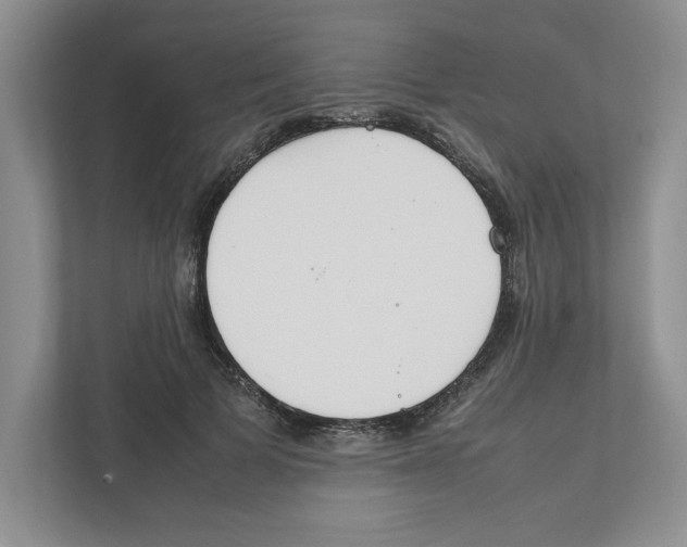 X0000111850697200908201237