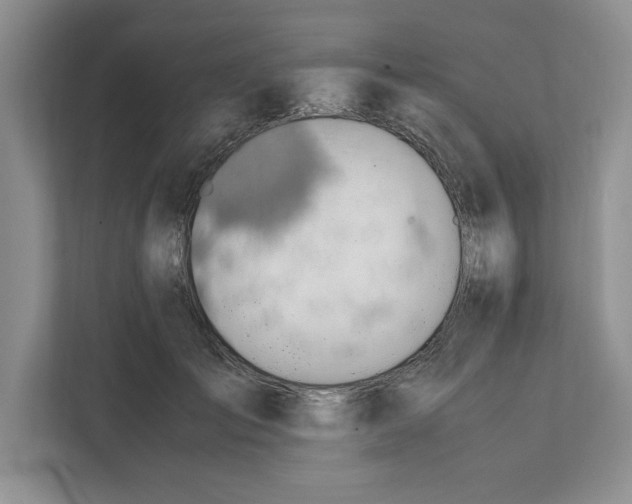 X0000111850701200908201237