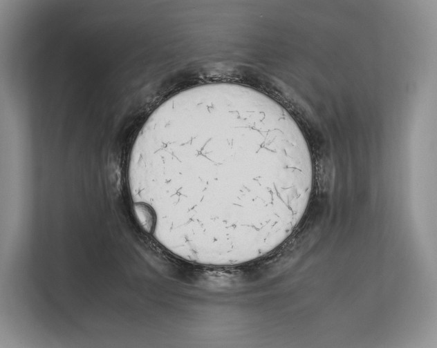X0000111850703200908201237