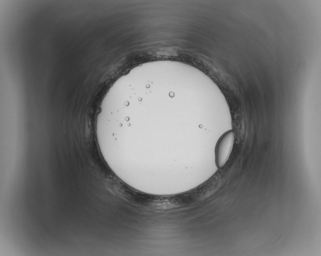 X0000111850704200908201237