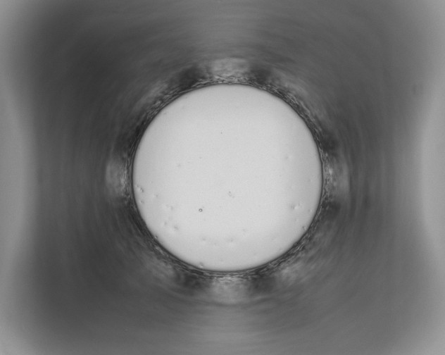 X0000111850705200908201237