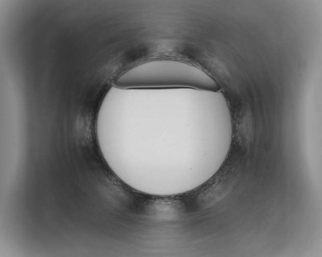 X0000111850708200908201237