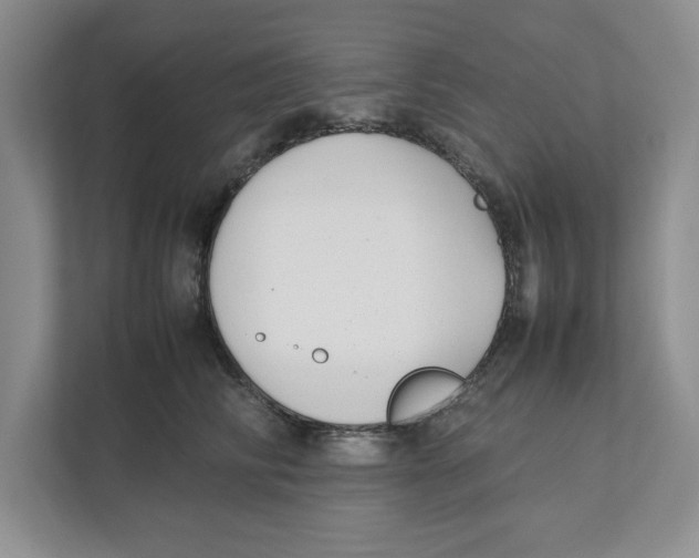 X0000111850710200908201237