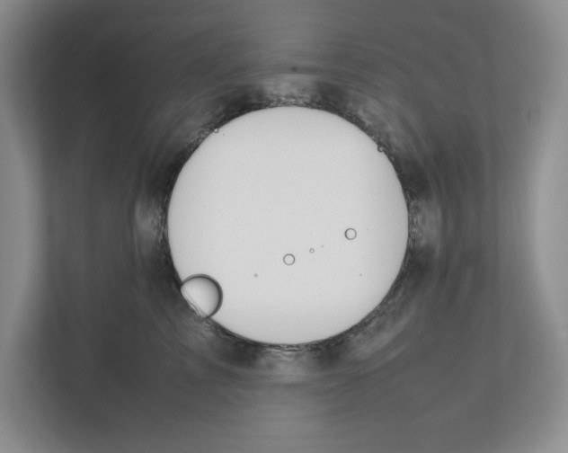 X0000111850713200908201237