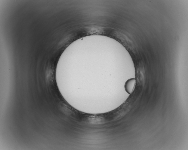 X0000111850714200908201237
