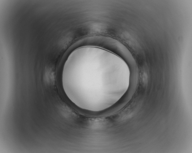 X0000111850716200908201237
