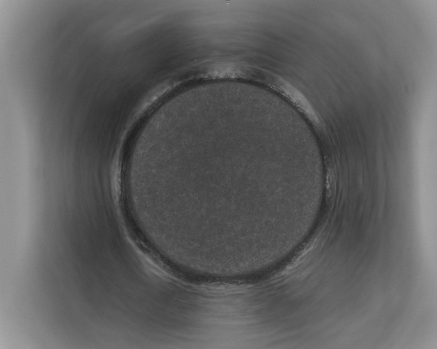 X0000111850722200908201236