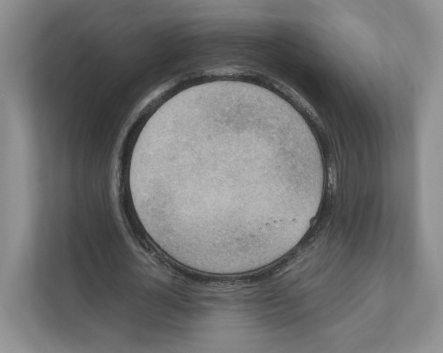 X0000111850724200908201236