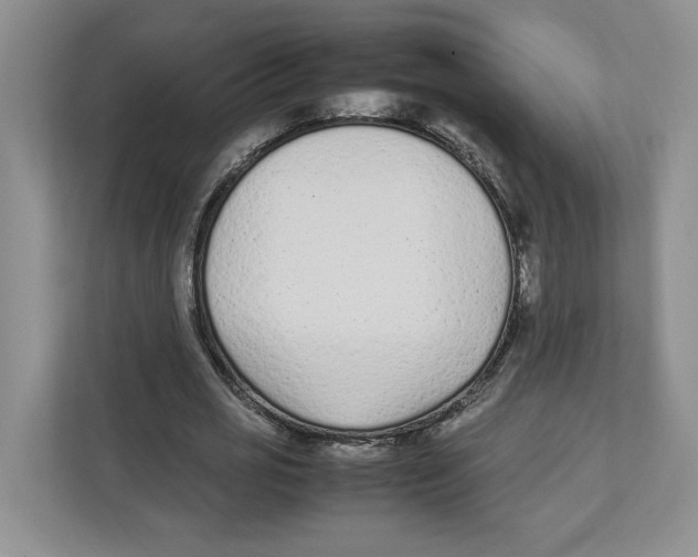 X0000111850725200908201236