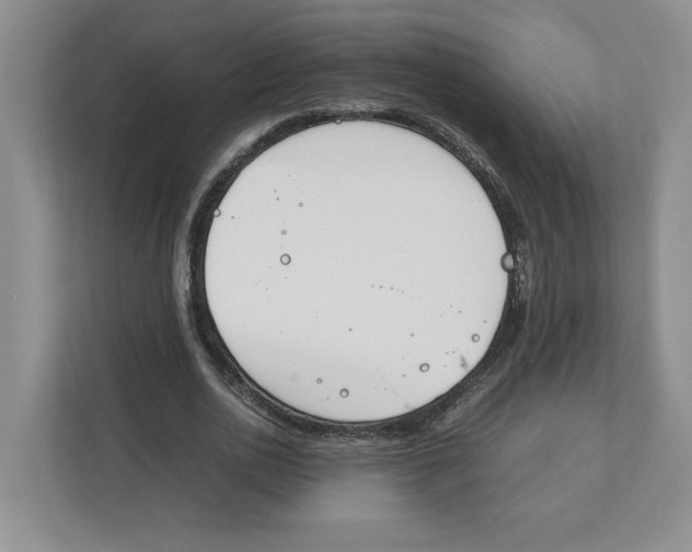 X0000111850726200908201236