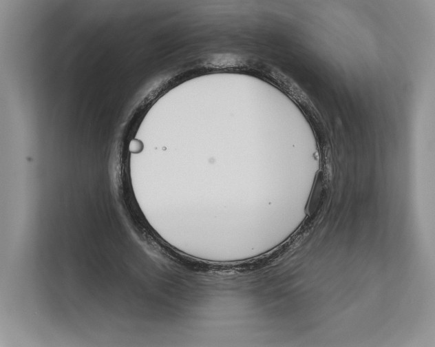 X0000111850728200908201236