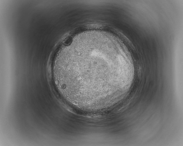X0000111850729200908201236