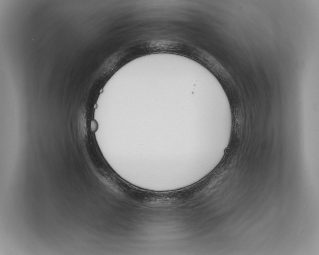 X0000111850734200908201236