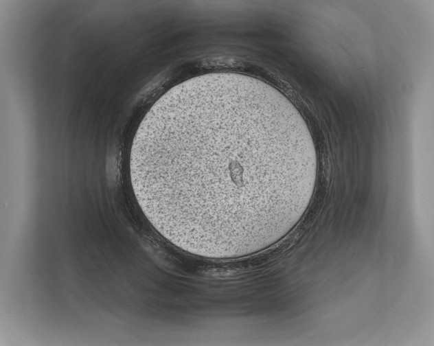 X0000111850735200908201236