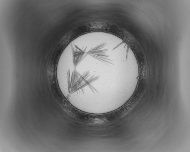 X0000111850737200908201237