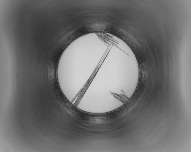 X0000111850745200908201237