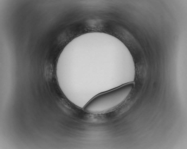 X0000111850752200908201237