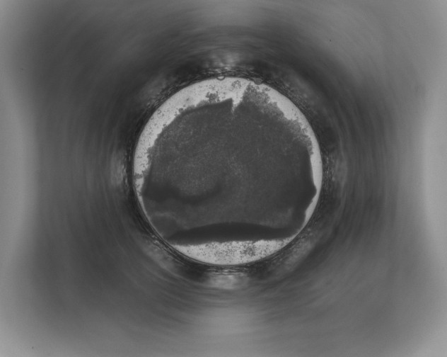 X0000111850754200908201237