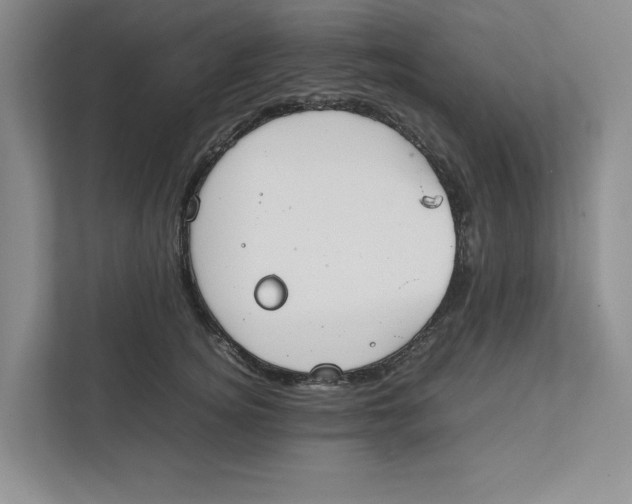X0000111850756200908201237