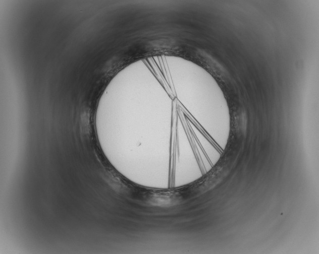 X0000111850757200908201237