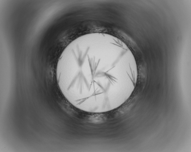 X0000111850761200908201237