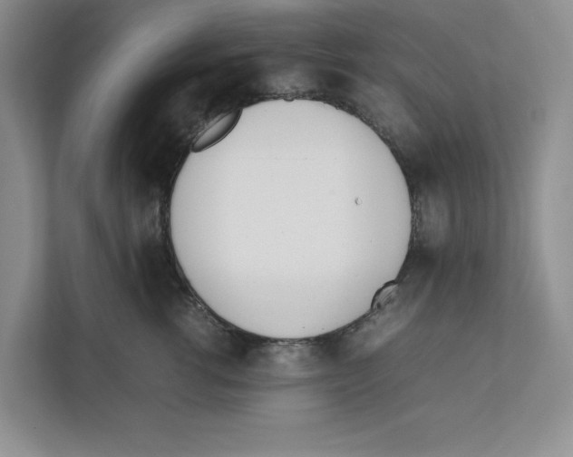 X0000111850762200908201237
