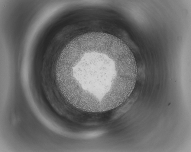 X0000111850765200908201237