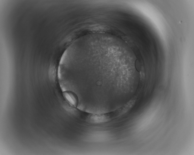 X0000111850767200908201237
