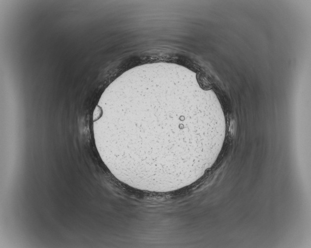 X0000111850771200908201236