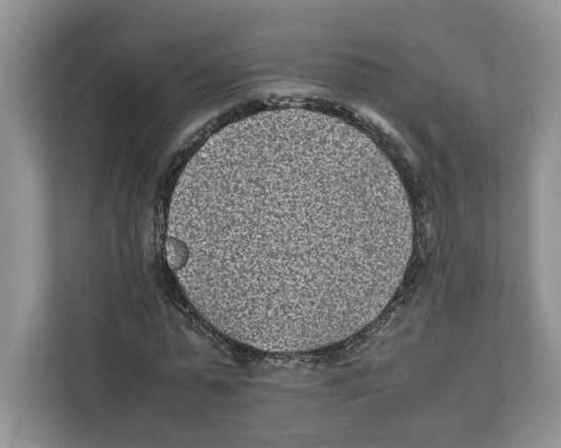 X0000111850775200908201236