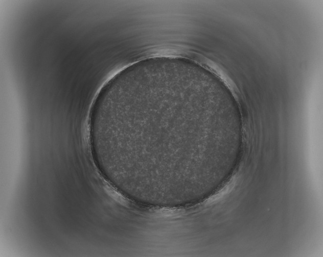 X0000111850779200908201236