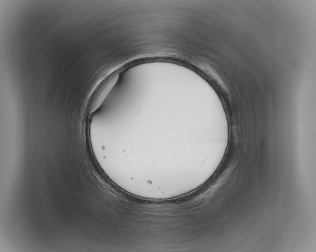X0000111850781200908201236