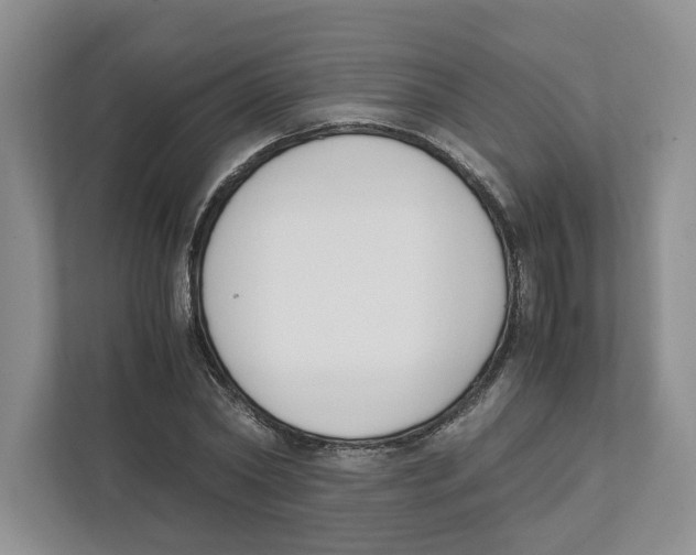 X0000111850782200908201236