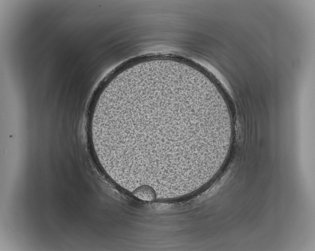 X0000111850783200908201236