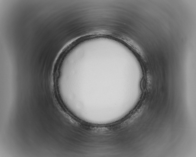 X0000111850784200908201236