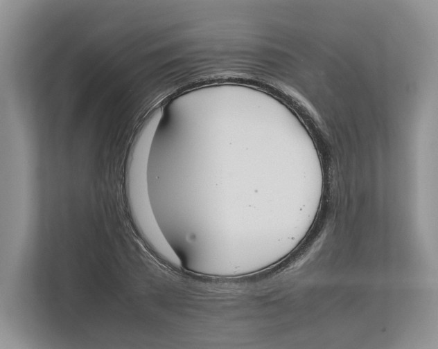 X0000111850785200908201236