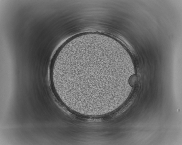 X0000111850788200908201236