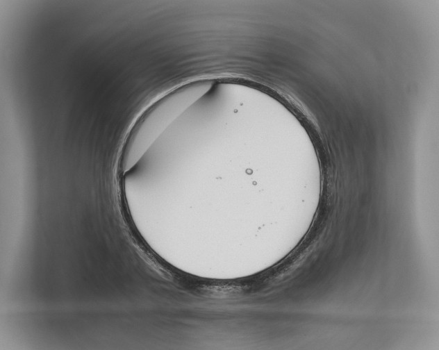 X0000111850789200908201236