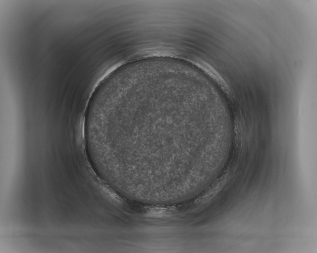 X0000111850790200908201236