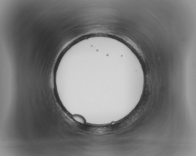 X0000111850791200908201236