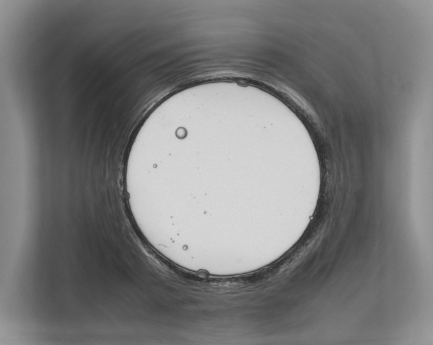X0000111850793200908201236