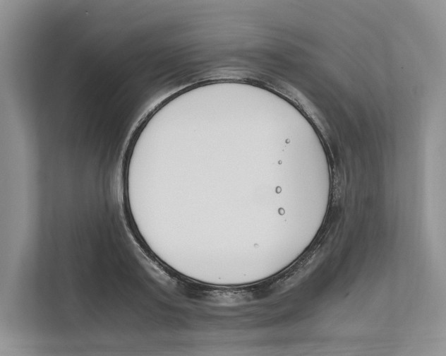 X0000111850795200908201236
