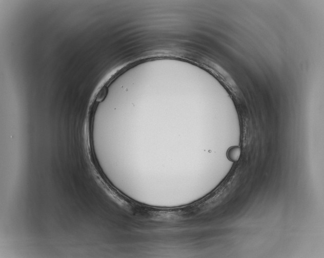 X0000111850796200908201236