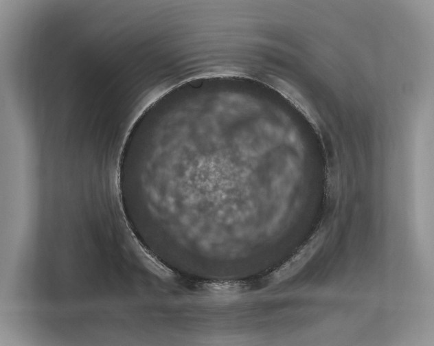 X0000111850797200908201236