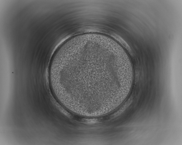 X0000111850798200908201236
